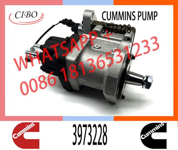 6745-71-1170 6745-71-1010 3973228 4954200 PC300-8 Engine SAA6d114 Qsc Excavator