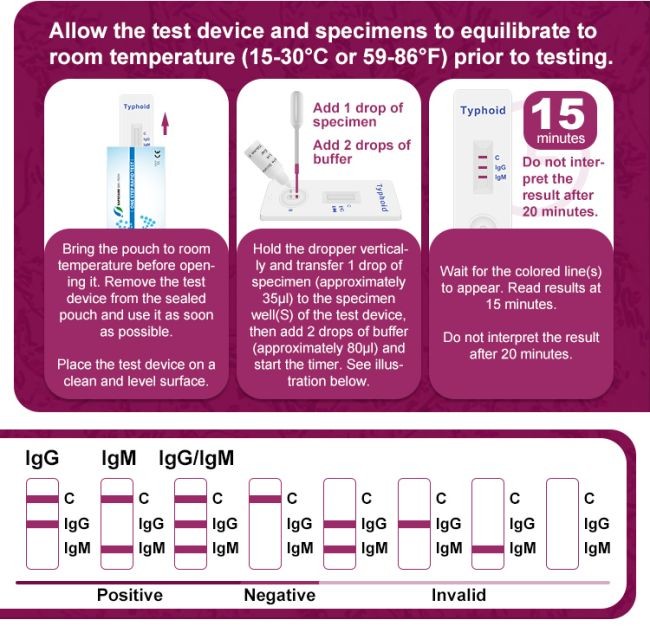 Typhoid IgM / IgG Rapid Antibody Test Cassette One Step 40 Tests/Kit