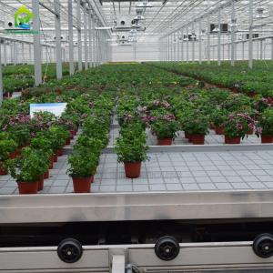 Wholesale Agricultural Soilless Culture Hydroponic Greenhouse Rolling Bench Grow Table Innovative Mesh from china suppliers