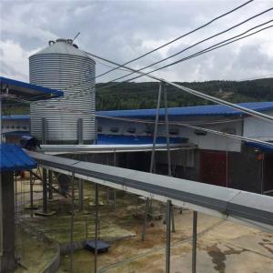Wholesale Galvanized Poultry Farming Equipment 15 Tons Capacity For Chicken Feed from china suppliers