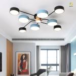 Used For Home/Hotel/Showroom LED Fashionable Atmosphere Ceiling Light