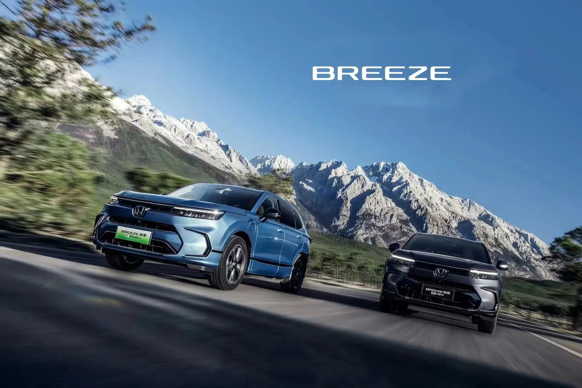 Energy Vehicle 2024 BYD Blue Pink BREEZE Electric Car 5-Door 5-Seat SUV with ePHEV Hybrid and Lithium Iron Phosphate Battery