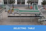 CE Waste Plastic Machine Hdpe Bottle Crushing Washing Dewatering For Big