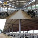 Q345B Prefabricated Steel Structure Poultry Shed Hot DIP Galvanized