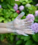 Transparent Cleaning 0.8g/Piece Disposable Hdpe Gloves