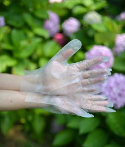 Wholesale Transparent Cleaning 0.8g/Piece Disposable Hdpe Gloves from china suppliers