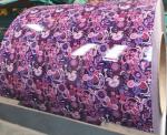 Ral 9010 Color Coated PPGI Steel Coil Roof Sheet 6-12m