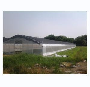 Wholesale 150/200micro Film High Tunnel Agricultural Greenhouse for Tomato Hydroponic Growing from china suppliers