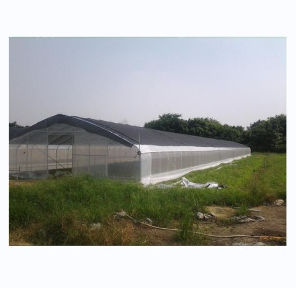 150/200micro Film High Tunnel Agricultural Greenhouse for Tomato Hydroponic