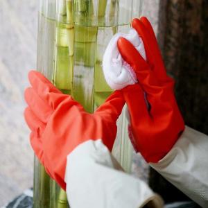 Wholesale Oil Resistant Kitchen Rubber Gloves Customized Color For Household Cleaning from china suppliers