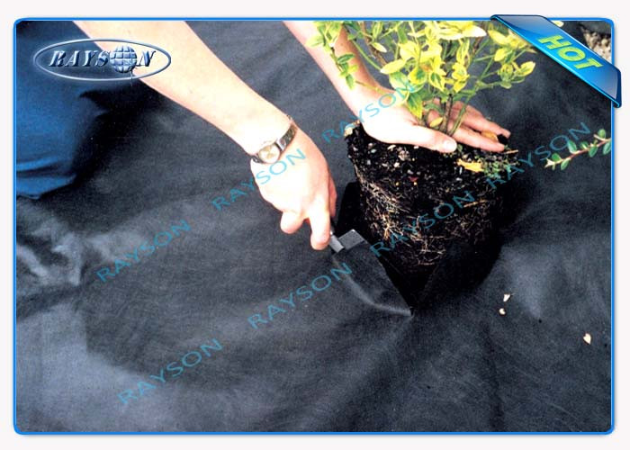 Polypropylene Spunbond Agriculture Non Woven Cover Air Permeable