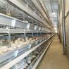 Buy cheap SGS 30000 Birds H Type Layer Chicken Cage Battery System Q235A Steel Material from wholesalers