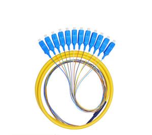 Wholesale 12 Cores Fan Out Fiber Optic Pigtail Waterproof , SC PC Pigtail For Couples from china suppliers