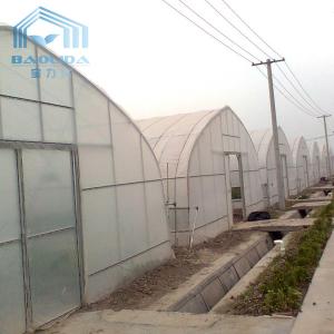Wholesale Tropical Plastic Film Cross Top Sawtooth Greenhouse Single Span Tunnel Plastic Greenhouse from china suppliers
