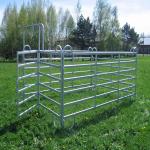 Square Hot Dipped Galvanized Cattle Yard Panels 50x50mm 40x40mm