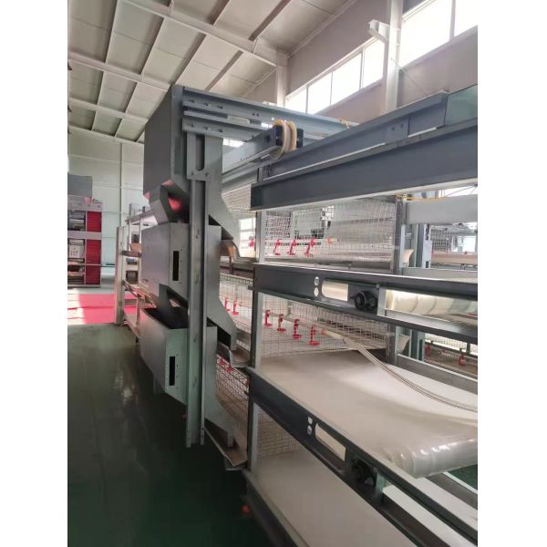 4 Tier H Type 12000 Capacity Fully Automatic Pullet Cage for Broiler Chicken Farming