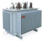 10KV oil-immersed transformer S11，30-2500KVA，3 phae/full sealed/double winding