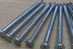 Hardwood Flooring Nails Cast Iron Nails 40mm Stainless Steel Nails