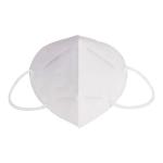 Earloop Style N95 Face Mask For House Cleaning / Yard Working / Gardening