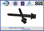 10.9 Grade 40Cr Steel Oxide Black Screw Spike Insert Plastic Dowel Railway