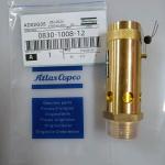 Safety Valve 0830100812 for Atlas Screw Air Compressor Parts in Machinery Repair