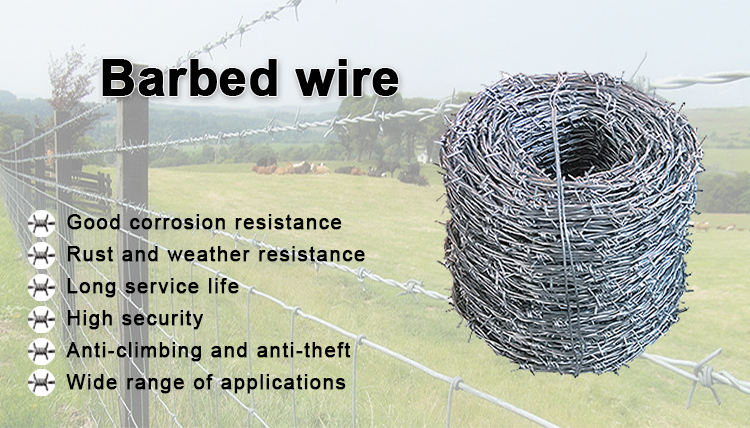 Galvanized Safety Protection Spike Rope PVC Coated Barbed Wire Mesh Fence Stock Fast Delivery