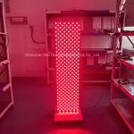 3000W Red Light Therapy Panel Facial Care 630 660 810 850nm LED Light Therapy