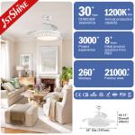 Affordable 42 Inch Ceiling Fan with Hidden Blades and Metal Lamp Body