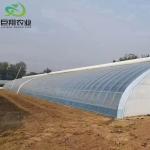 Customized Film Thickness Agricultural Used Plastic Film Hydropoinics Greenhouse