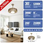 Home Office 2022 5 Speed Remote Control Switch Hidden Blade Led Ceiling Fan by