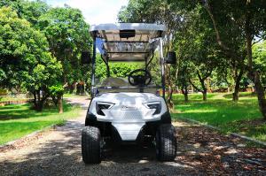 Wholesale Excar 8 Seats Special Body Design Sightseeing Car With Flip-Flap Seat from china suppliers