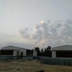 Pre Engineered Livestock Farm House Chicken Steel Structure Warehouse