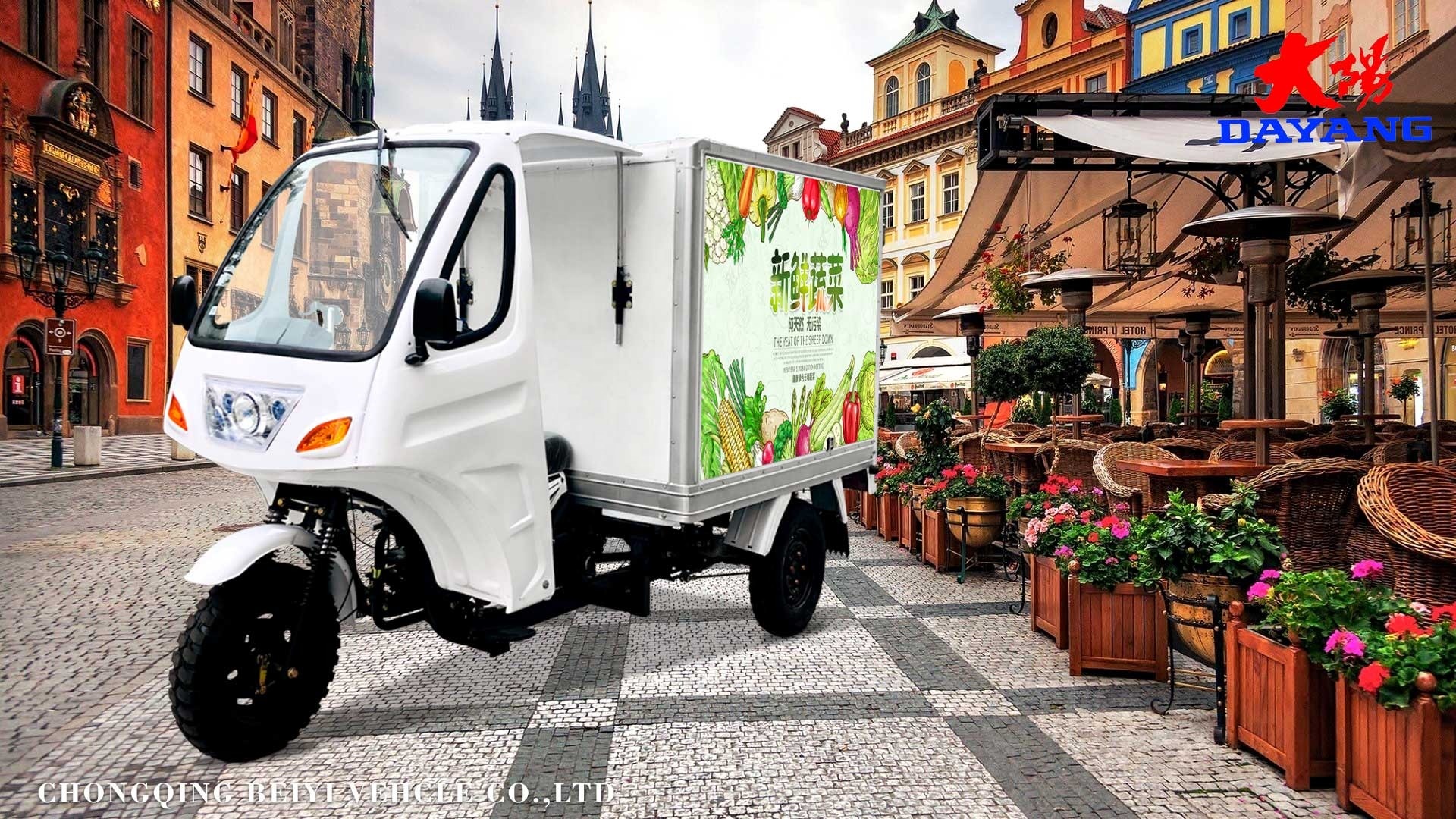 1 Passenger Petrol Motor Tricycle with 600KG Cargo Capacity and 60km/H Max Speed