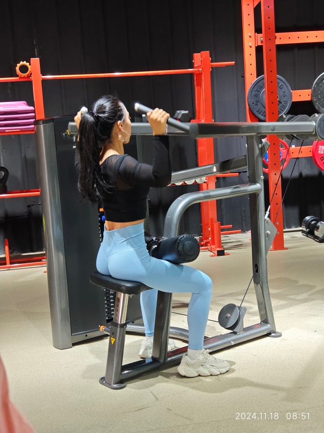 Lat Pulldown Indoor Commercial Pin Loaded Gym Equipment for Distribution