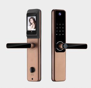 Wholesale High Security Camera Smart Lock Black Silver For Home Apartment from china suppliers