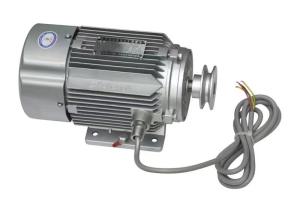 Wholesale Bernet Brand Three Phase 750w AC Motor For Fuel Dispenser from china suppliers