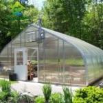 AC220V Greenhouse Temperature Monitor