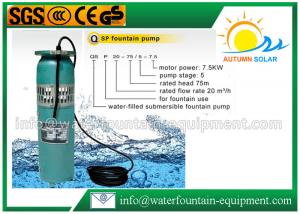 Wholesale Durable Garden Water Fountain Pumps , Simple Cast Iron Submersible Fountain Pump from china suppliers