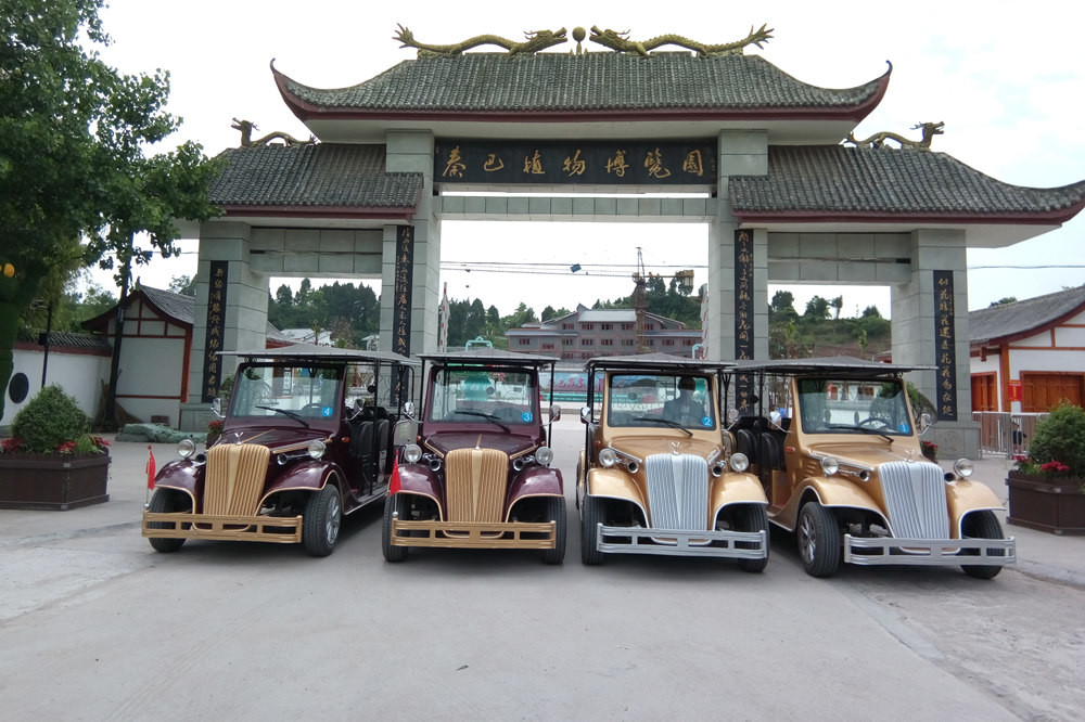 Bienvenue Style 8 Seats Electric Vintage Cars With CE Certificate For Hotel Using