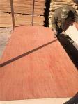 Anti Acid BB Grade 1250x2500mm Bintangor Plywood