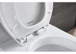 Wc Disabled Toilet Bowl S trap 300/400mm Siphonic Jet Flushing