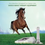 Vet high energy shock wave therapy machine veterinary shockwave therapy machine