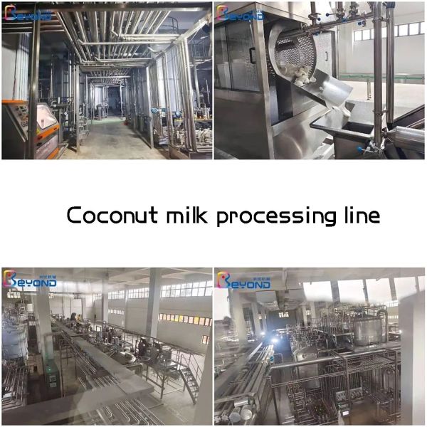 Fully Automatic SUS304 Coconut Oil / Water Processing Plant 2TPH - 20TPH