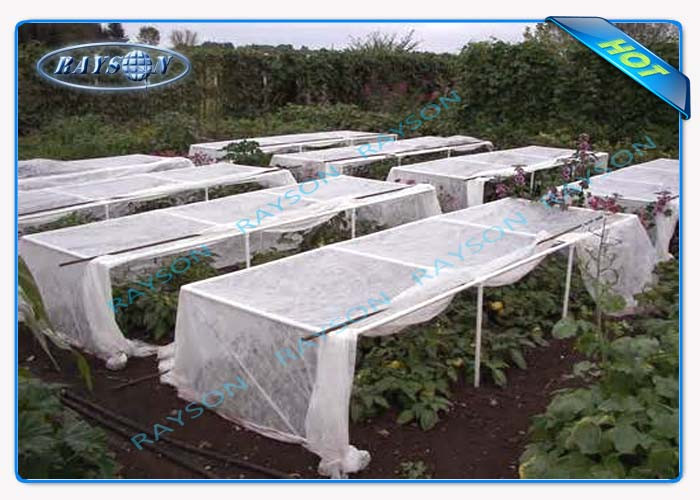 Certificate Agricultural Non Woven Landscape Fabric / Frost Protection Fleece with Reinforced Edge