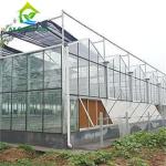Triangle Roof Agricultural Glass Greenhouse 9.6m Width Winter Lettuce Greenhouse