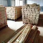 Natural Bamboo Plant Support Stakes for Indoor Plants, Bamboo Sticks Poles