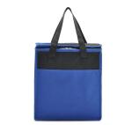 Insulated Soft Cooler Picnic Lunch Box Tote Bottle Bag Freezer Tote promotional