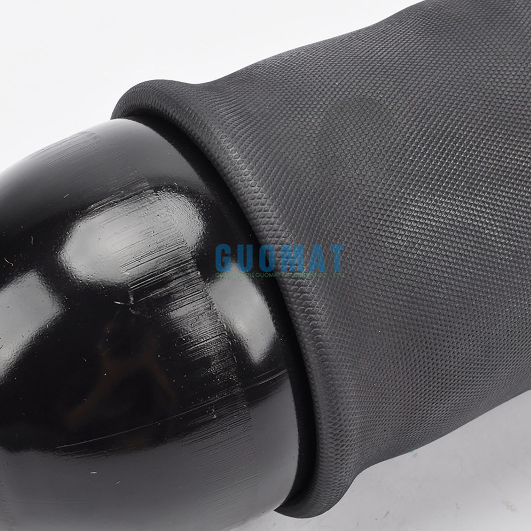 Air Suspension Spring Bags 4z7616051d 4z7616051b for Audi A6 / C5 4b Front Left or Right