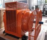 0.4KV, 6.3KV or 10.5KV , AC three phase synchronous generator excitation system