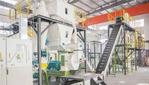Wholesale Rice Husk EFB Wood Log Pellet Making Equipment Production Line from china suppliers